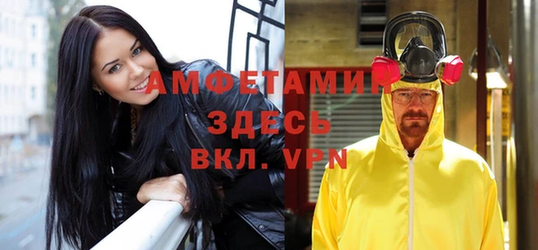 сатива Вязьма