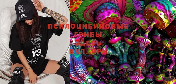 сатива Вязьма