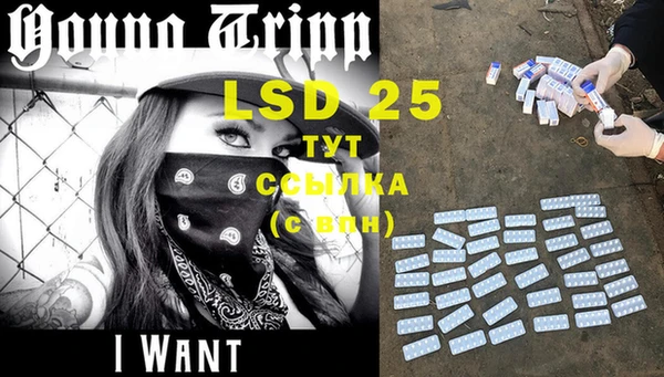 сатива Вязьма