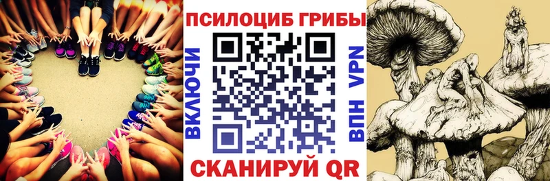 Галлюциногенные грибы мухоморы  даркнет сайт  Ростов-на-Дону 